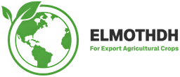ElMothdh Import & Export Logo