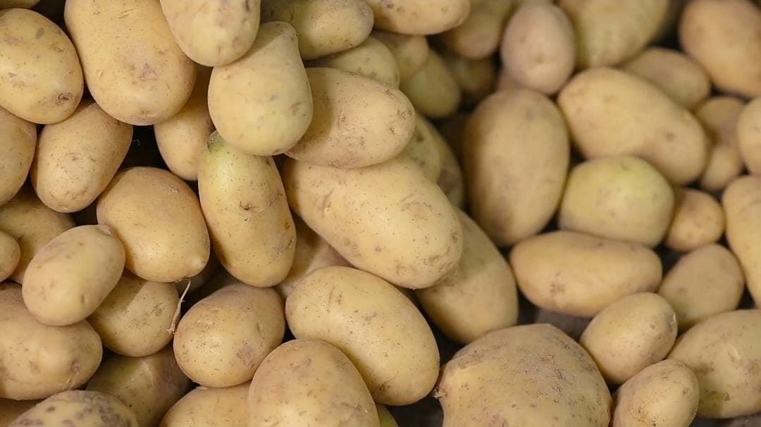 Potatoes